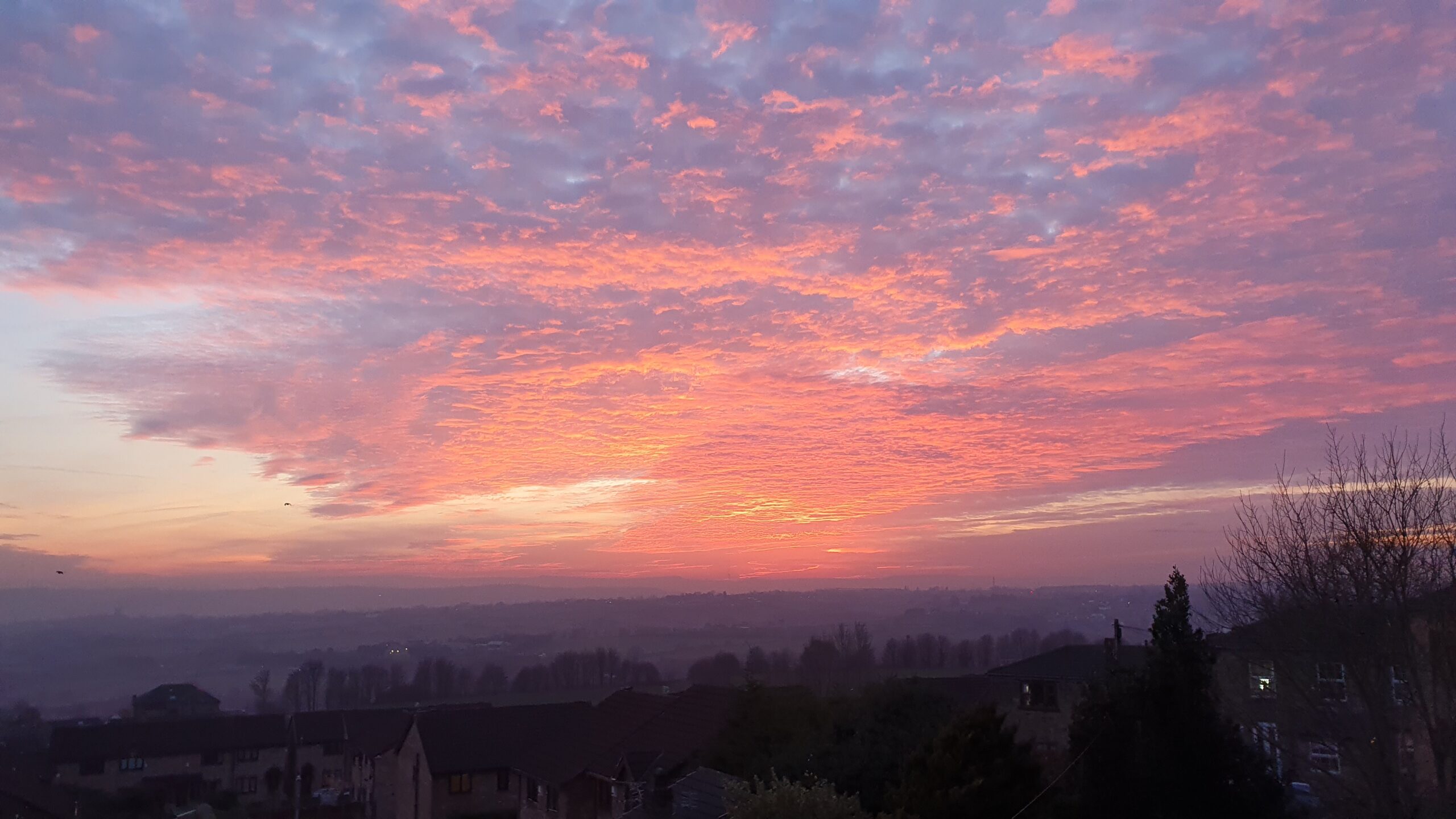 Fluffy clouds highlighted pink and orange by the setting sun